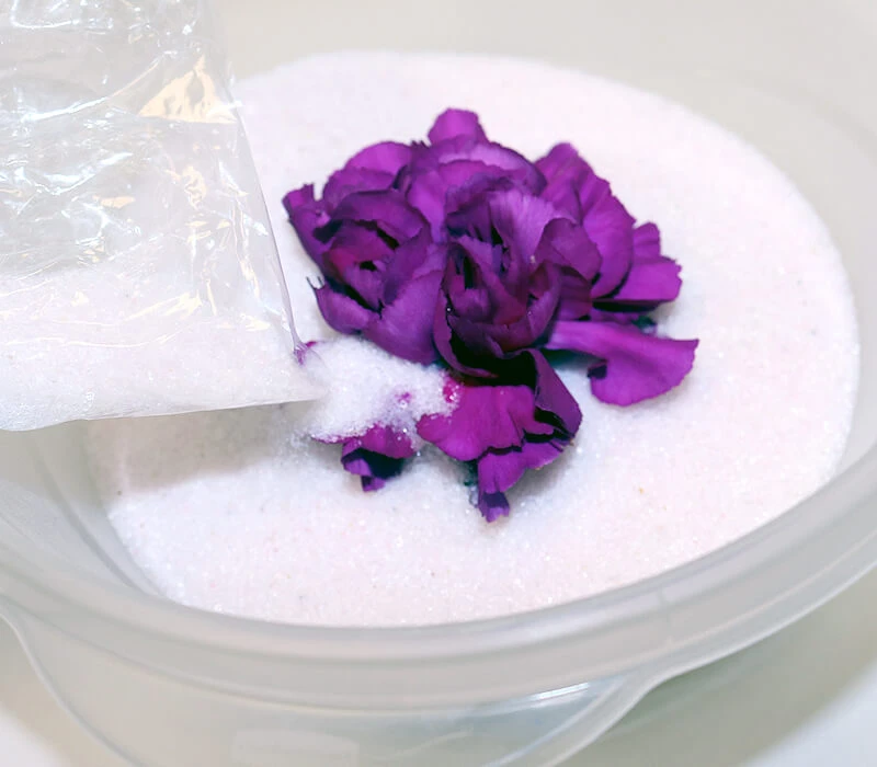 Pour Flower Drying Art™ Silica Gel around the flowers to dry flowers in a microwave.